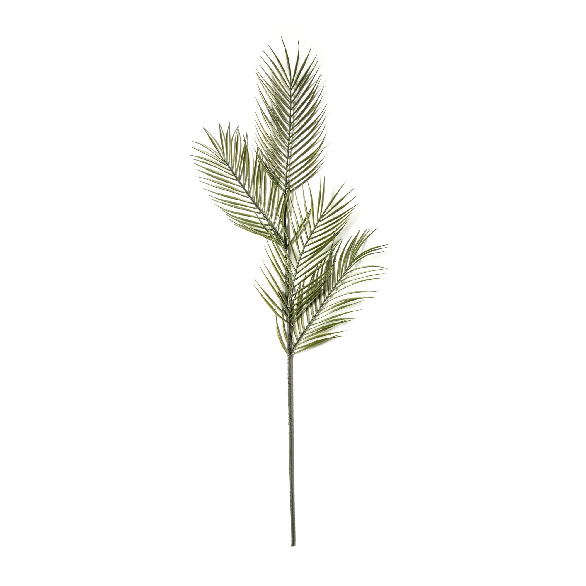 12 Pack: Green Tropical Areca Palm Stem by Ashland®